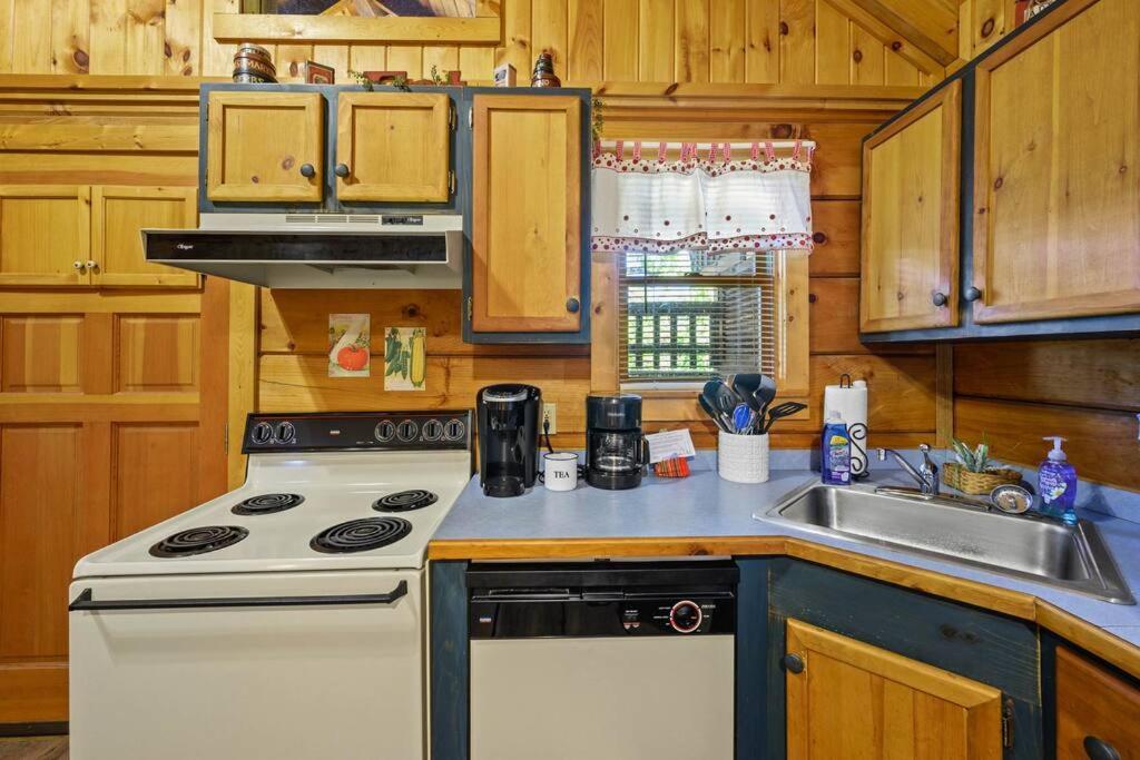 Do Not Disturb - Pigeon Forge Smoky Mountain Studio Cabin, Hot Tub, Fireplace المظهر الخارجي الصورة